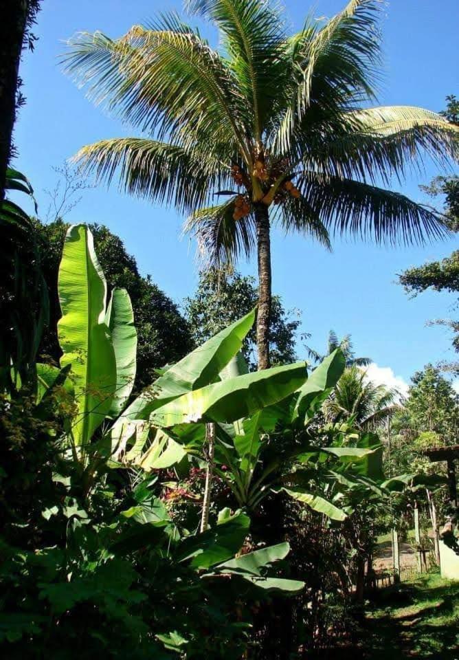 Pousada Villa Da Gama Araquari Rum bild
