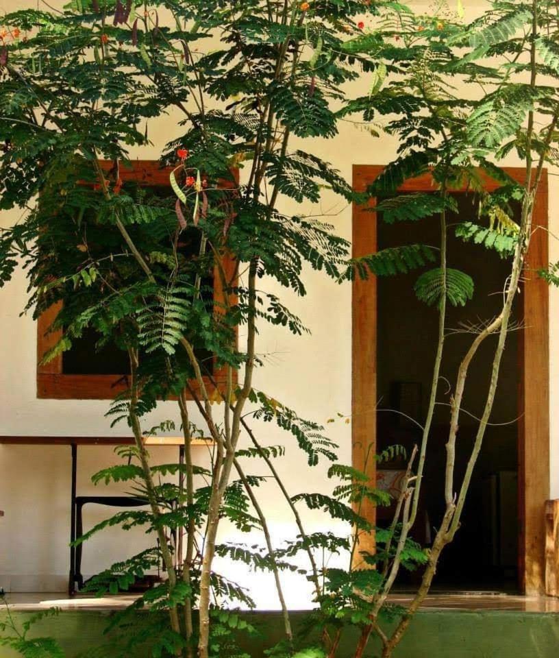 Pousada Villa Da Gama Araquari Rum bild