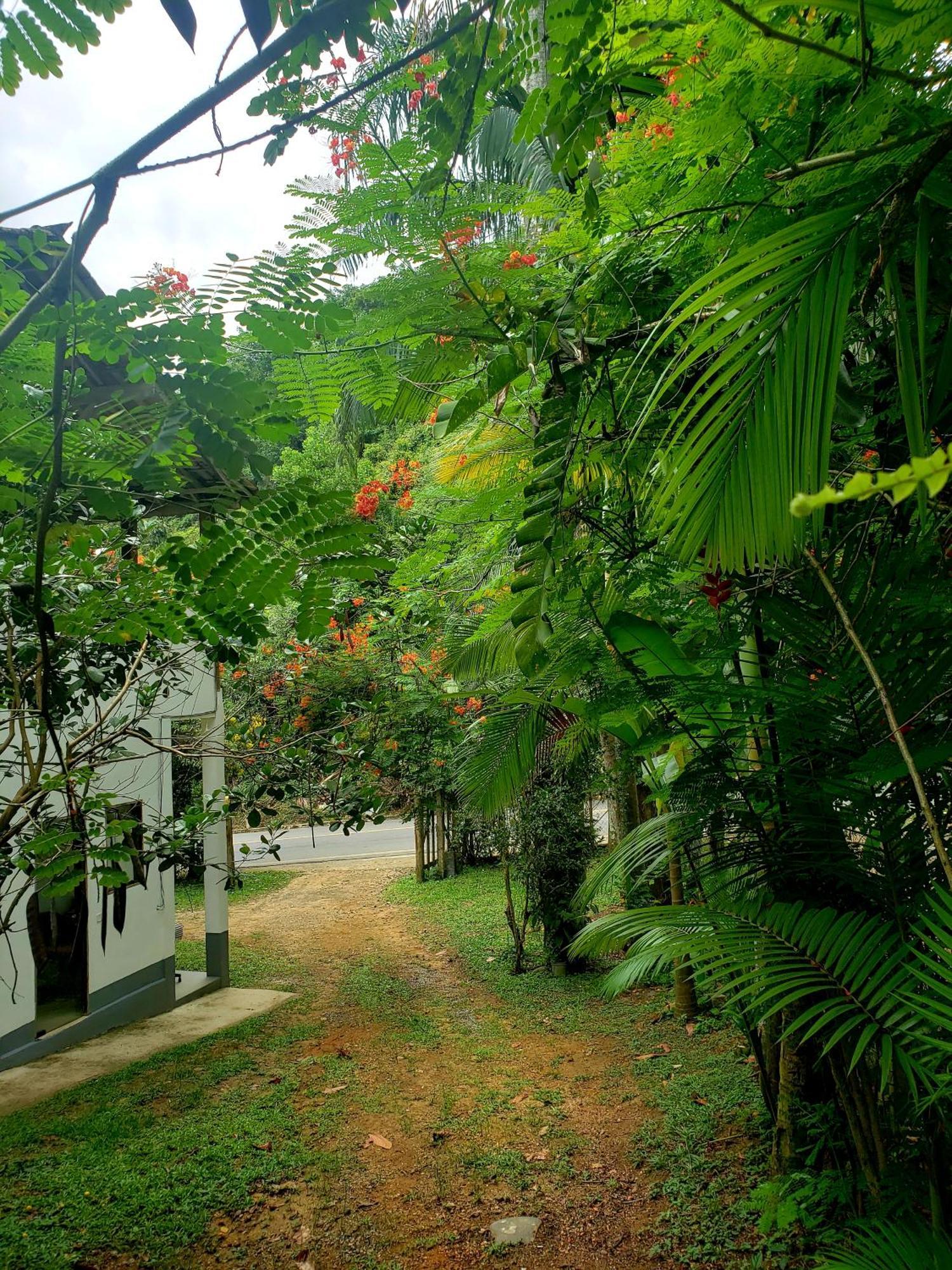 Pousada Villa Da Gama Araquari Rum bild